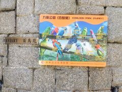 -九龙公园