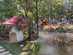 -沂蒙山旅游区云蒙景区(蒙山国家森林公园)