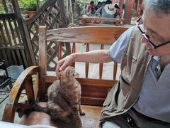 -鱼乐岛餐厅·户外花园主题餐厅
