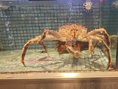 -东方御宴海鲜酒楼(棕泉酒店)