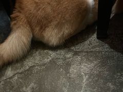-慢丽江·云南野生菌土鸡锅(西山店)