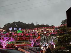 -枇杷园食为鲜火锅(南山店)