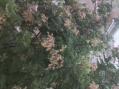 -清真·锦翔炝锅鱼(明德门店)