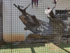 -南昌动物园
