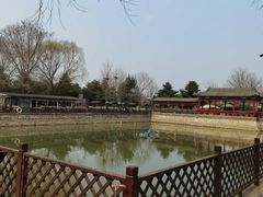 -尚庄度假村·庭台树下·户外烧烤·团建CS·轰趴营地(上庄水库店)