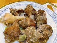 -小海丁
