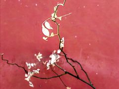 -北京石刻艺术博物馆(五塔寺)