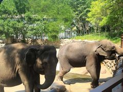 -北京野生动物园