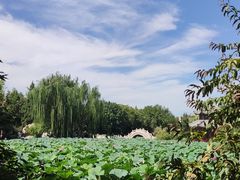 -莲池书院博物馆