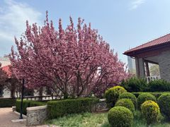 -烟台山景区
