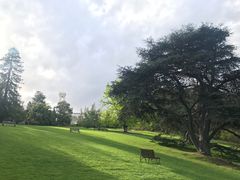 -墨尔本皇家植物园