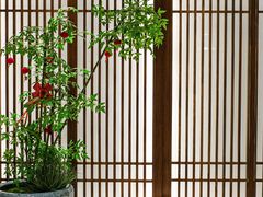 -康逸居·始于2002(海安店)