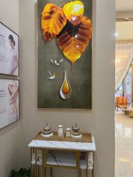 -菩羽·专业美胸·连锁养护中心