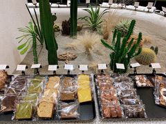 -OUR Bakery(SKP-S店)