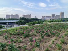 -长春世界雕塑园冰雪艺术天地