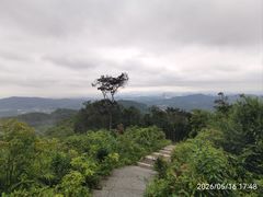 -广州市帽峰山景区