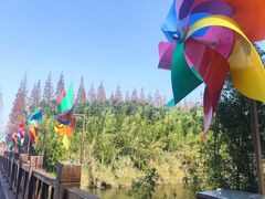 -黄海国家森林公园