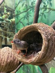 -Zoolung Zoolung动物主题公园(海信广场店)