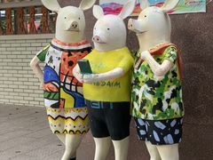 -金砂公园