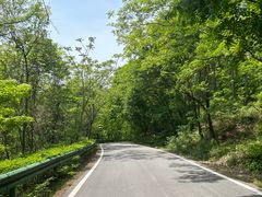 -三块石国家森林公园