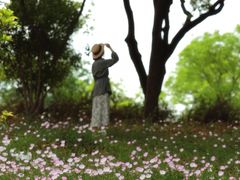-贡湖湾湿地公园