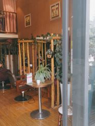 -SSS造型形象设计