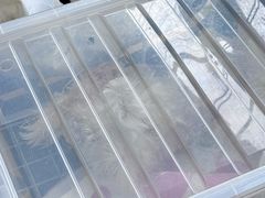 -瑞派天使宠物医院·神经外科·骨科·核磁CT(洛川中路店)