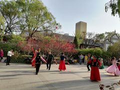 -文瀛公园