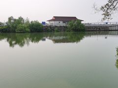 -大湾区中央湿地公园
