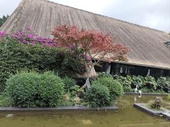 -老房子金沙元年川菜食府·花园餐厅(金沙店)