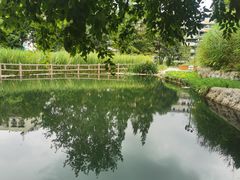 -成都市活水公园