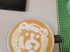 -SAFARI COFFEE