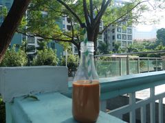 -澳门环岛游湾仔码头