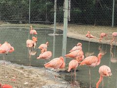 -石家庄市动物园