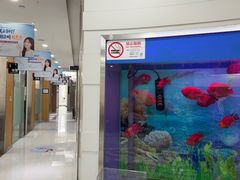-雅悦齿科(顾村公园店)