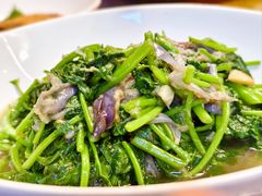 -大灶头·新昌菜(中国茶市店)