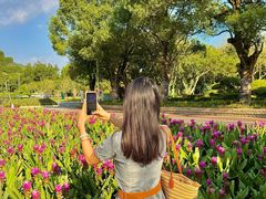 -东南花都花博园