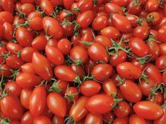 -上海龙吴水胜海发市场