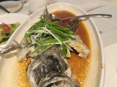 清蒸老虎斑-万龙洲海鲜(南新仓店)