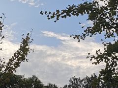 -艾溪湖湿地公园