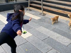 -星巴克(深圳前海企业公馆店)