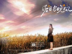 -合肥滨湖国家森林公园