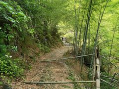 -四明山国家森林公园
