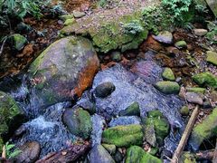 -海南热带雨林国家公园吊罗山景区