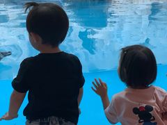 -帝企鹅自助餐厅•儿童岛•真企鹅(长隆企鹅酒店)