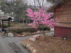 -国御温泉度假小镇