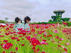 -芒洲湿地公园