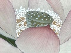 -六出私塾LiuChu•成人美术书法系统课程专业画室(熊婆婆的花园店)