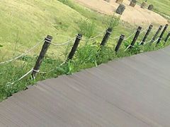 -盘龙城国家考古遗址公园