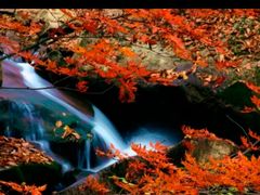 -丹东天桥沟景区